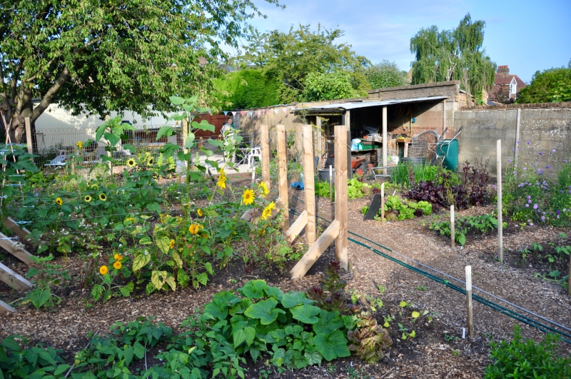 Sarratt Community Garden